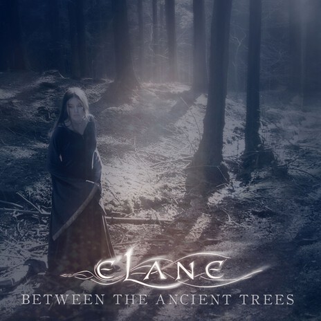 Between the Ancient Trees | Boomplay Music