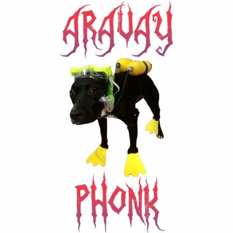 ARAVAY PHONK