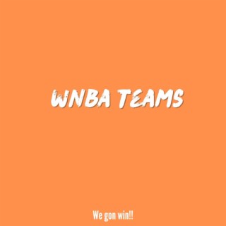 Wnba Teams