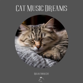 Cat Music Dreams