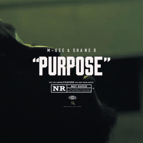 Purpose ft. Shane O