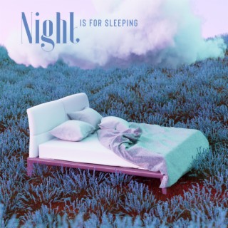 Night is for Sleeping: Soundscapes for Deep Sleep & Calm Your Mind