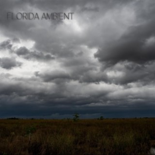 Florida Ambient