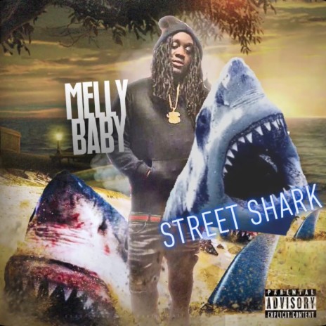 Street shark | Boomplay Music