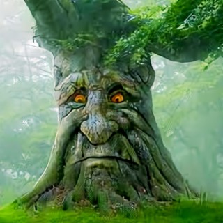 Mystical Tree Phonk