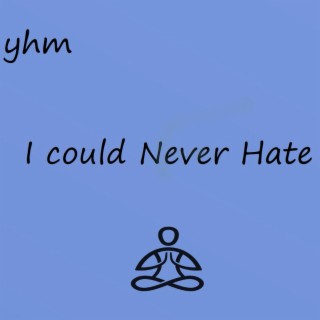 I Could Never Hate lyrics | Boomplay Music