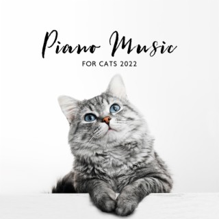 Piano Music for Cats 2022