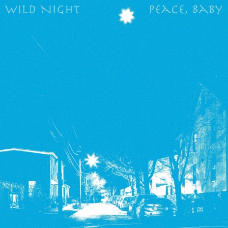 Wild Night | Boomplay Music