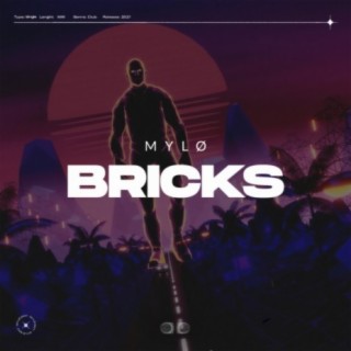 Bricks