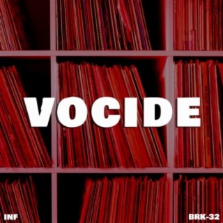 Vocide