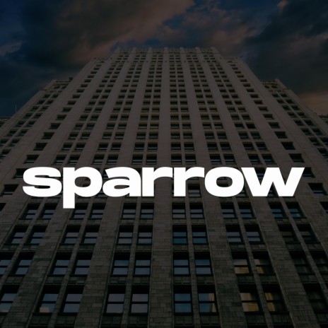 Sparrow (Melodic Drill Type Beat) | Boomplay Music