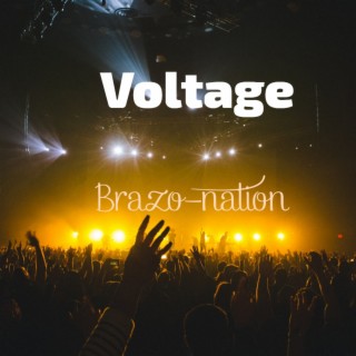 Voltage