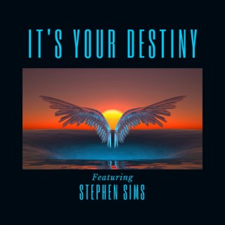 IT'S YOUR DESTINY ft. STEPHEN SIMS lyrics | Boomplay Music