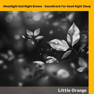 Moonlight and Night Breeze-Soundtrack for Good Night Sleep