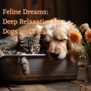 Feline Dreams: Deep Relaxation for Dogs and Cats