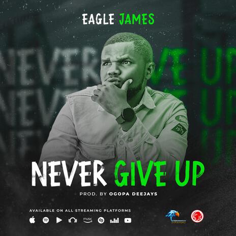 Never Give Up | Boomplay Music