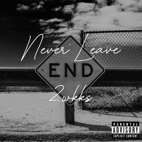 Never Leave | Boomplay Music