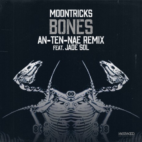 Bones (An-Ten-Nae feat. Jade Sol Remix) | Boomplay Music