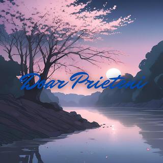 Doar Prieteni lyrics | Boomplay Music