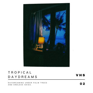 Tropical Daydreams