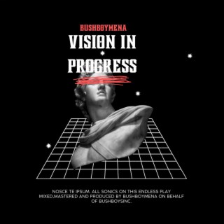 Vision In Progress