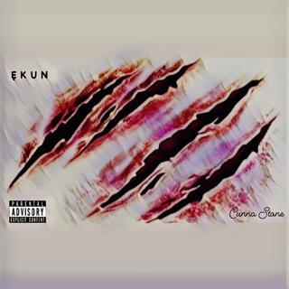 Oju Ekun lyrics | Boomplay Music