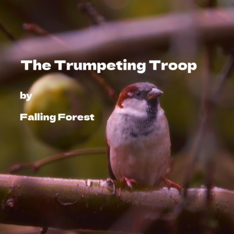 Tern's Twilight Trumpet | Boomplay Music