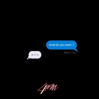 what do you want..? lyrics | Boomplay Music