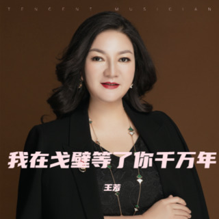 我在戈壁等了你千万年 lyrics | Boomplay Music