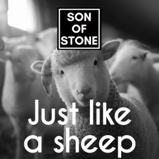 Just like a sheep