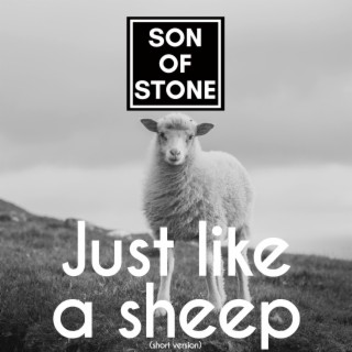 Just like a sheep (Short Version)