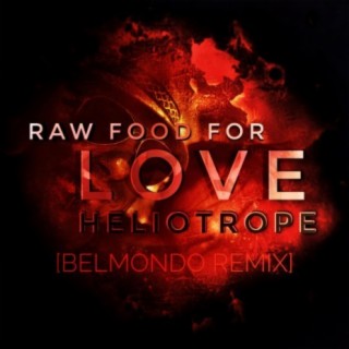 Raw Food for Love (Belmondo Remix)