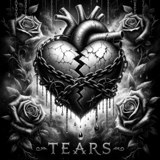 Tears lyrics | Boomplay Music