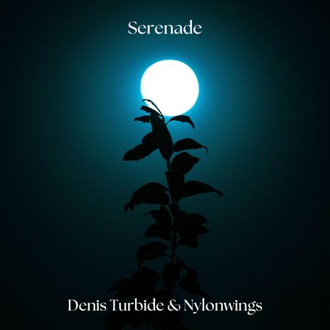 Serenade ft. Nylonwings | Boomplay Music