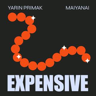 Expensive ft. MAIYANAI lyrics | Boomplay Music