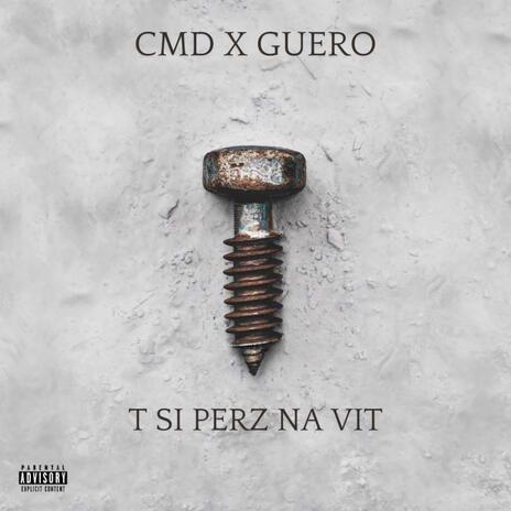 T SI PERZ NA VIT ft. CMD | Boomplay Music