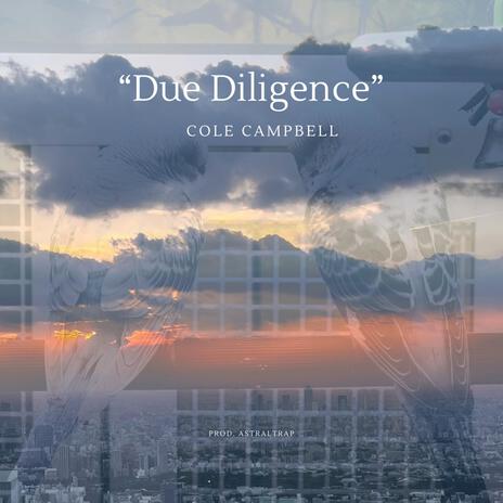 Due Diligence | Boomplay Music