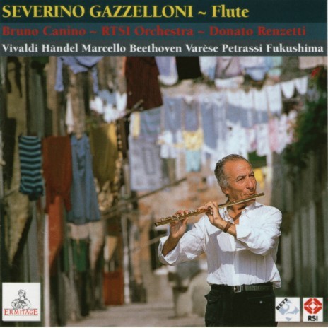 Serenade in D Major for Flute and Piano, Op. 41: IV. Andante con variazioni | Boomplay Music