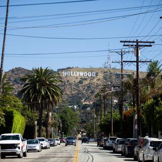 Hollywood Bity