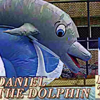 Daniel the Dolphin