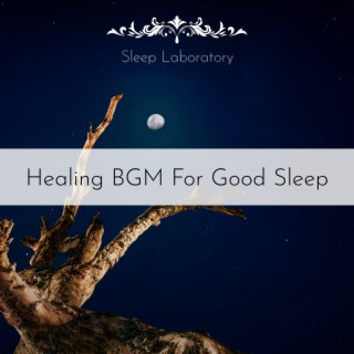 Healing Bgm for Good Sleep