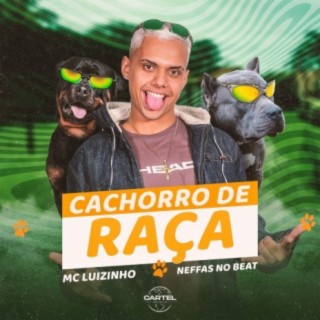 Cachorro de Raça