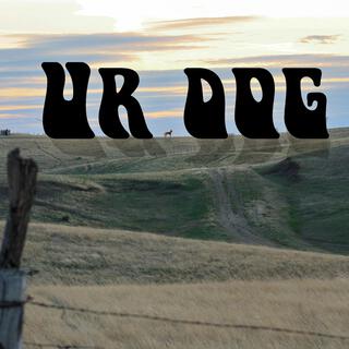 Ur Dog lyrics | Boomplay Music