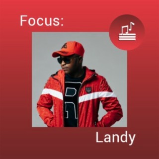 Focus: Landy
