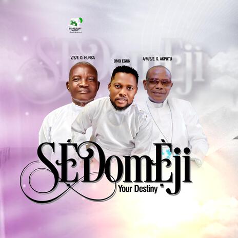 SEDOMEJI (feat. V/S/E. D. Hunsa & A/M/S/E. S. Akputu) (Live) | Boomplay Music