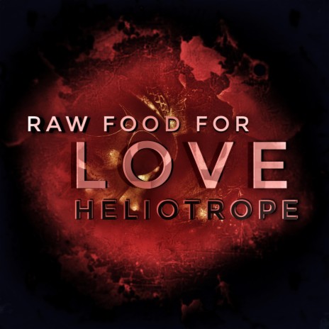 Raw Food for Love | Boomplay Music