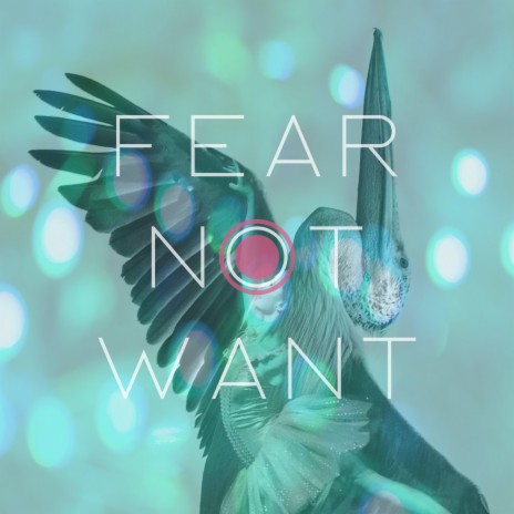 Fear Not Want