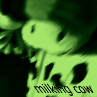 milking cow