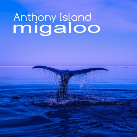 Migaloo | Boomplay Music