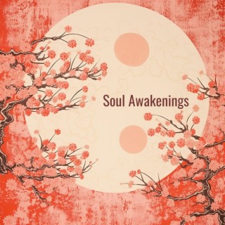 Soul Awakenings